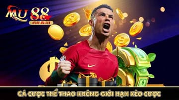 Cassino online com jogos variados